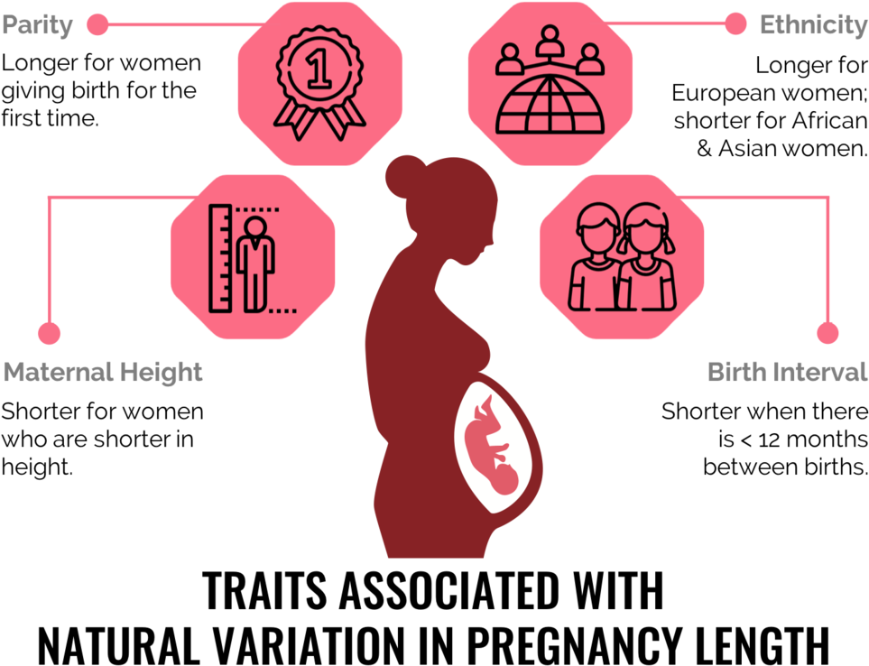 Parity [6,7] , Ethnicity [8,9] - Graphic Design (1000x779), Png Download