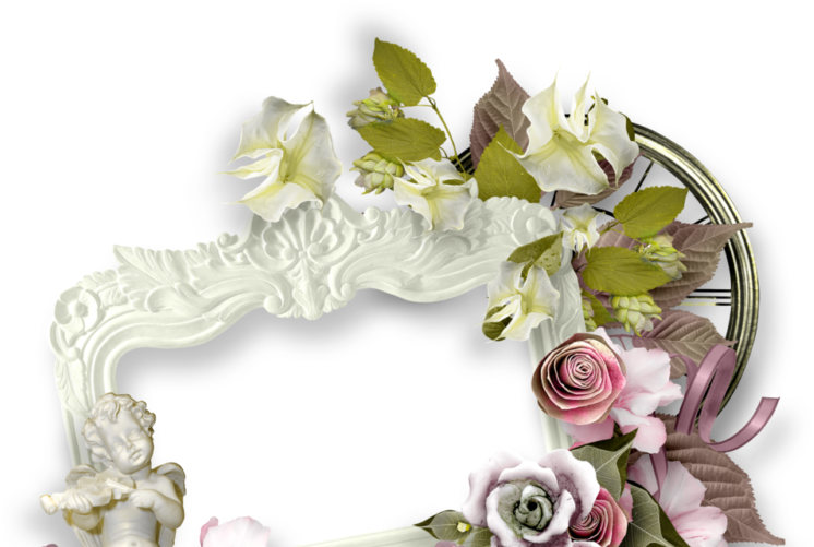 Wedding Flower Png - Zezette Cadres Et Bordures Page 7 (800x500), Png Download