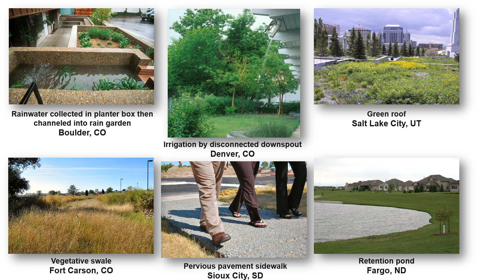Green Infrastructure In Cities Across The United States - Tree (1579x943), Png Download
