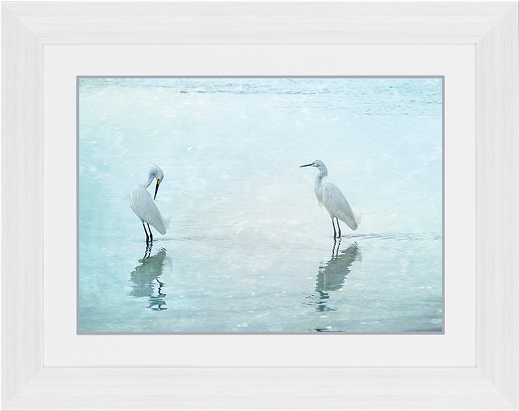 Crane (750x750), Png Download