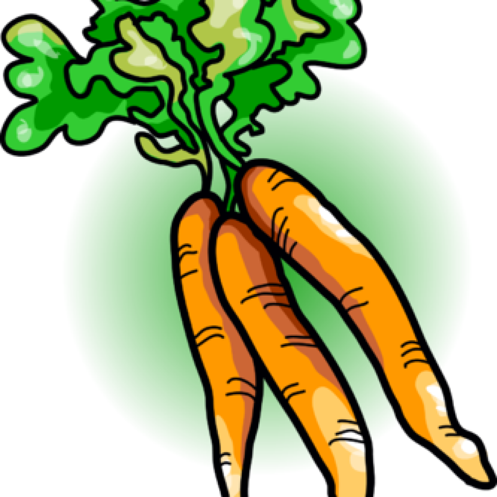 Carrot Clipart Free Carrot Clipart Image Carrots Food - Clip Art Vegetables (1024x1024), Png Download