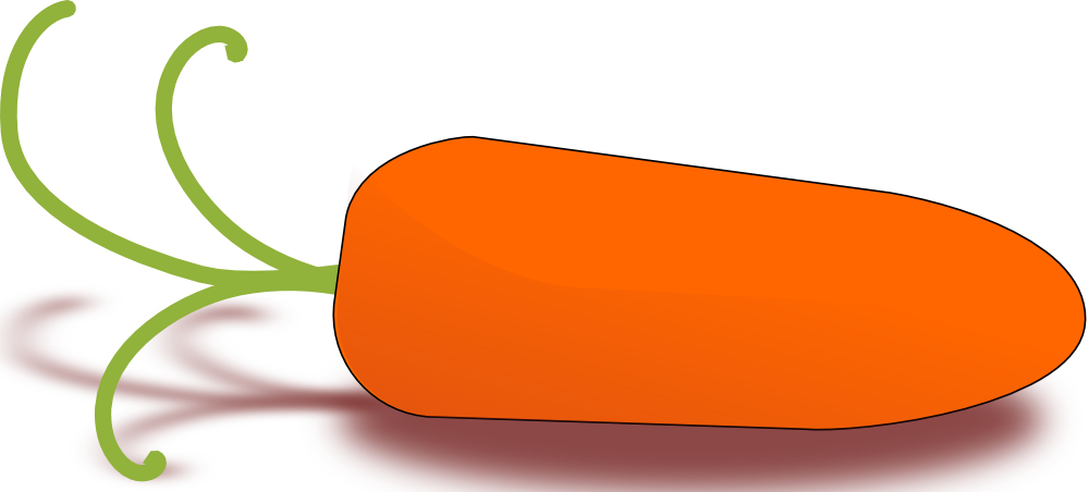 Little Carrot - Carrot Clip Art (1000x452), Png Download