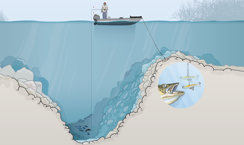 Illustration By Mike Sudal - Walleyes Early Ice Maps (1000x597), Png Download