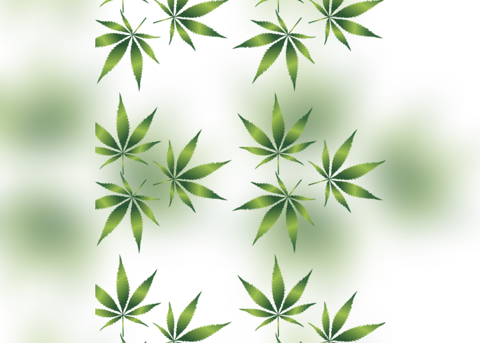 Color Palette Ideas From Leaf Plant Hemp Image - Weed Pattern Png (700x500), Png Download