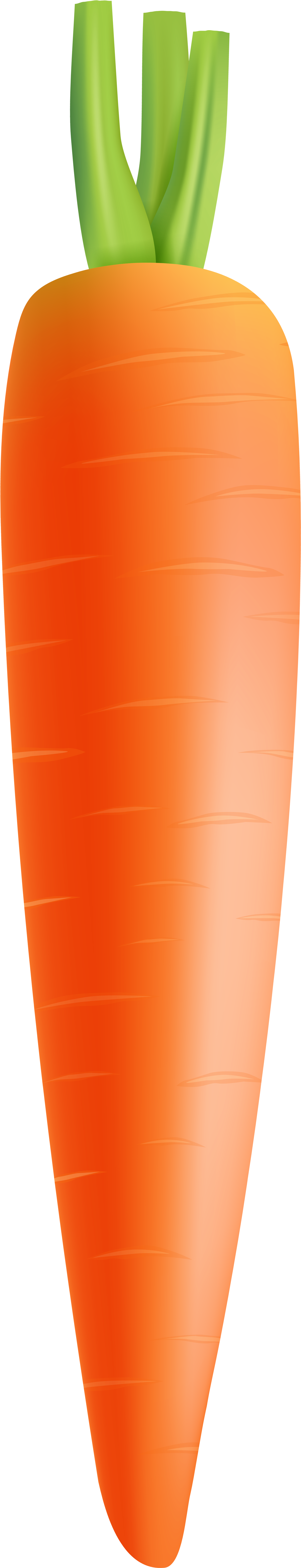 Plastic (1639x8000), Png Download