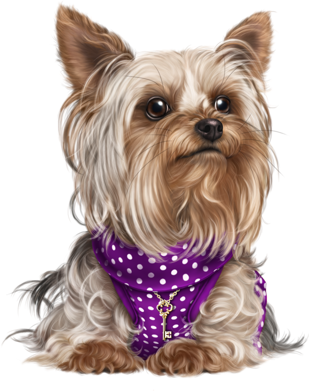Yorky, Puppy Images, Cute Puppies, Cute Dogs, Dog Cat, - Figurinha Cachorro Png (800x800), Png Download