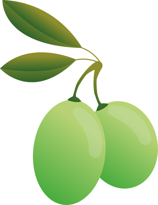 Olives, Green, Oil, Olive Plants, Food, Green Olives - Olive (556x720), Png Download