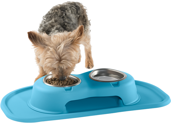 Made In America - Yorkshire Terrier (639x599), Png Download