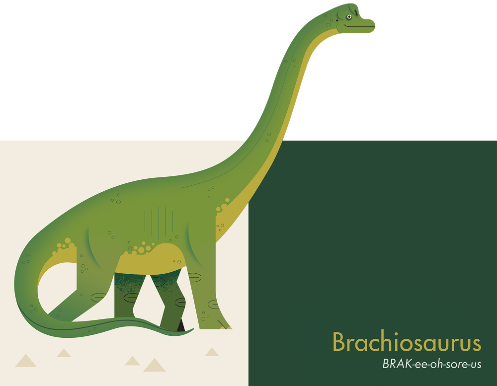 Owen Davey Pop Up Dinosaurs (1000x777), Png Download