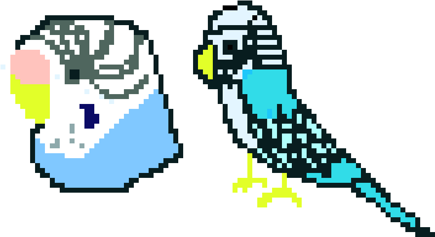 Parakeets (910x670), Png Download