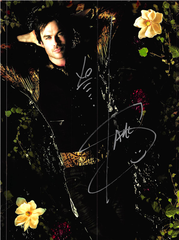 "the Vampire Diaries" (2009) (800x800), Png Download