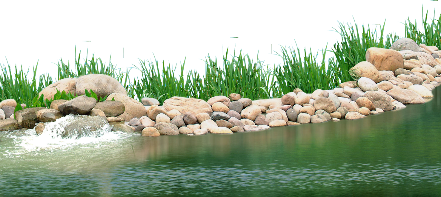 Pebbles Clipart Underwater Plant - Lake Plants Png (1476x945), Png Download