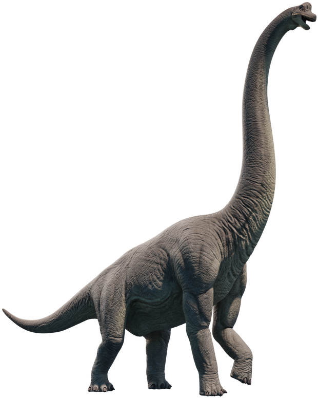 3d - Tyrannosaurus (800x800), Png Download