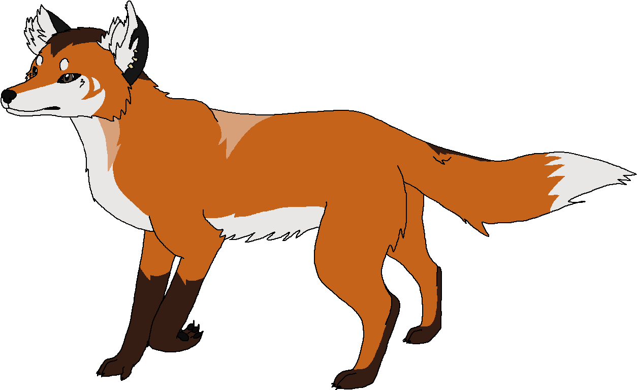 Red Fox - Smooth Collie (1325x825), Png Download