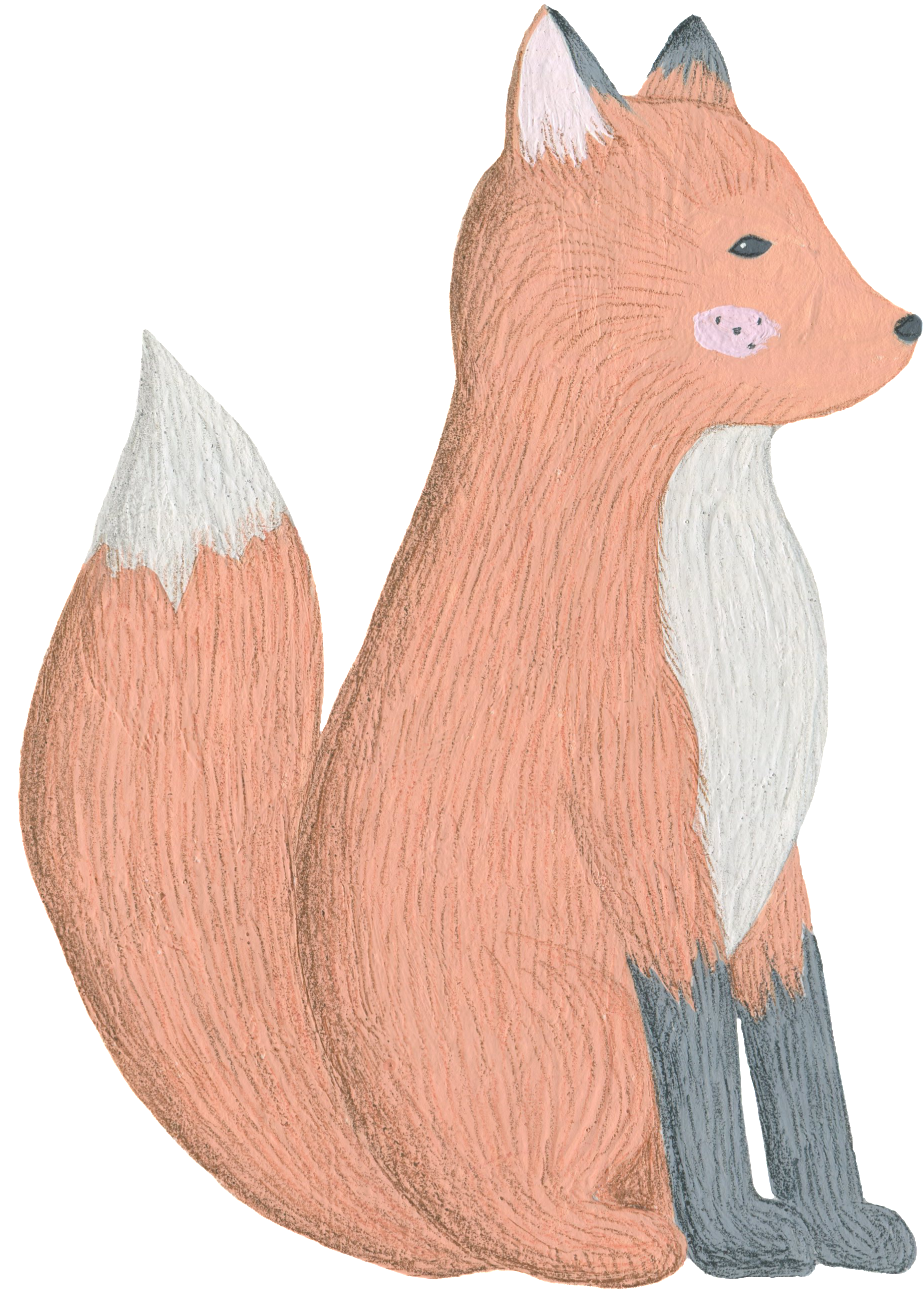 Cartoon Fox Png Images - Eurasian Red Squirrel (1024x1379), Png Download