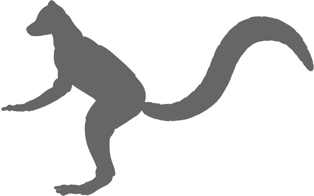 Guard Dog (1000x624), Png Download