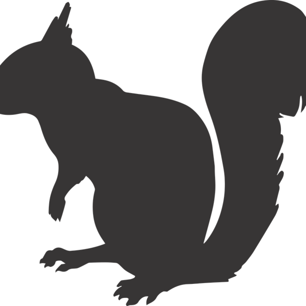Squirrel Silhouette Math Clipart - Squirrel Silhouette Png (1024x1024), Png Download