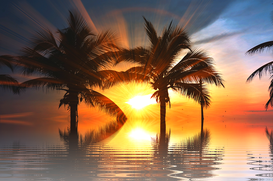 Sunset, Sun, Vacations, Nature, Tree, Isolated, Scenic - Hi Friends Good Evening (960x635), Png Download
