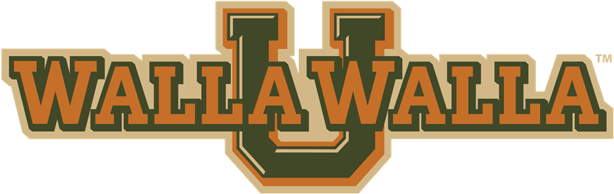 2016 Intramural Basketball Standings - Calligraphy (995x374), Png Download