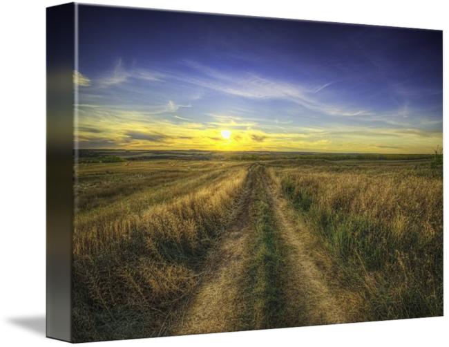 Country Road Hdr By Myron Watamaniuk - Field (650x502), Png Download