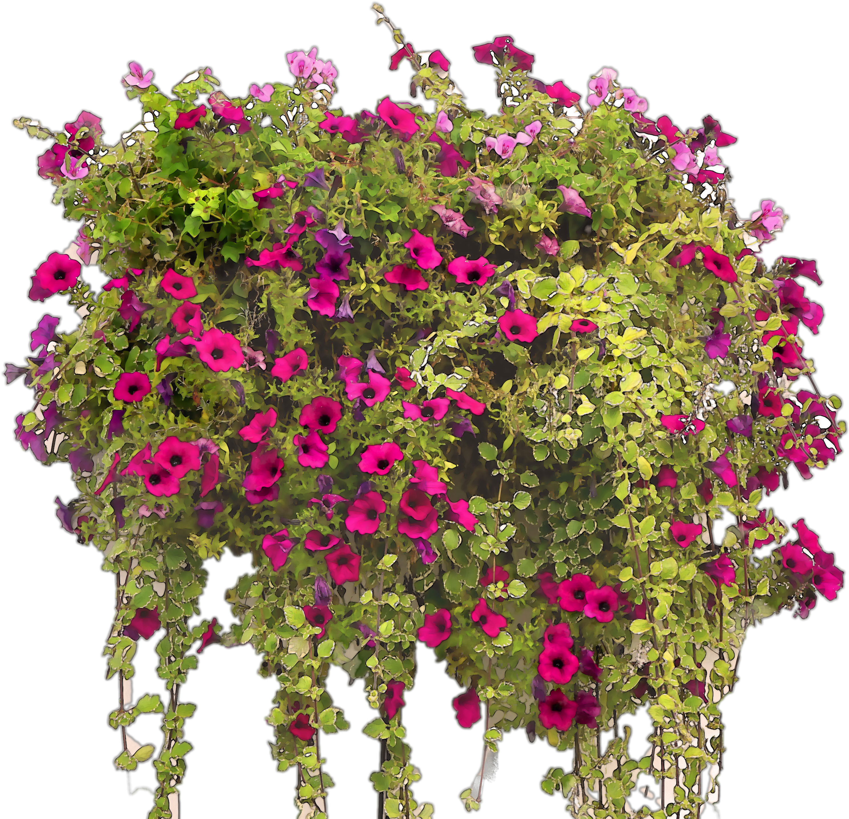 Colorful Watercolor Flowers For Free - Rośliny Wypełniające (4000x2880), Png Download