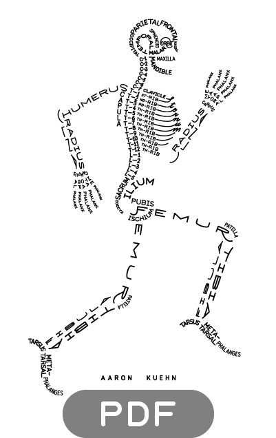 Image Of Skeleton Typogram - Easy Skeletal System Model (900x700), Png Download