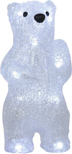 Polar Bear (600x600), Png Download