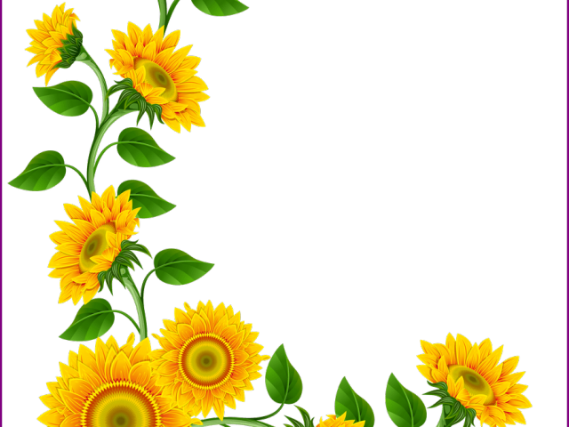 Tropical Clipart Border - Sunflower Clipart (640x480), Png Download