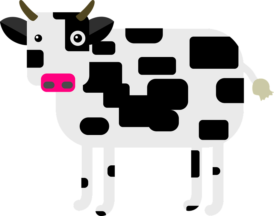 Cow Milk Dairy Cows - Cattle (915x720), Png Download