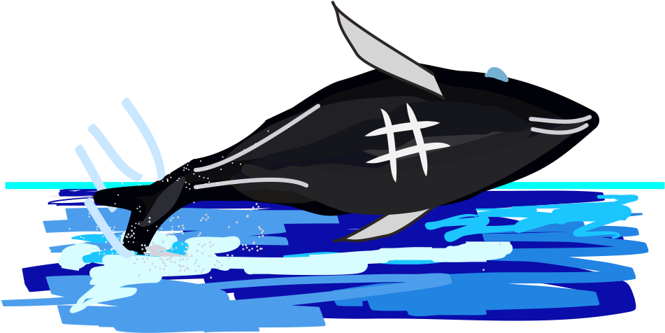 Hashtag The Humpback Whale - Whale (1008x576), Png Download
