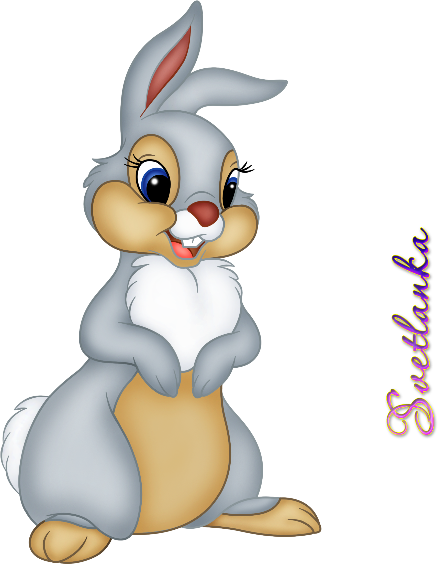 Faline Clip Art Rabbit - Rabbit (2126x2362), Png Download