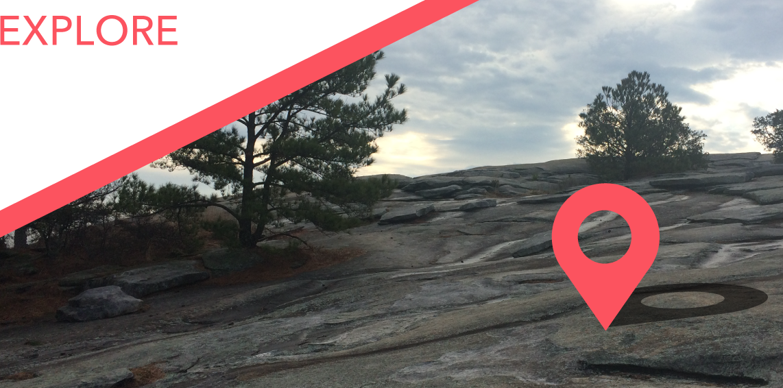 Download Stone Mountain Petroglyph Trail Tree Full Size PNG Image PNGkit