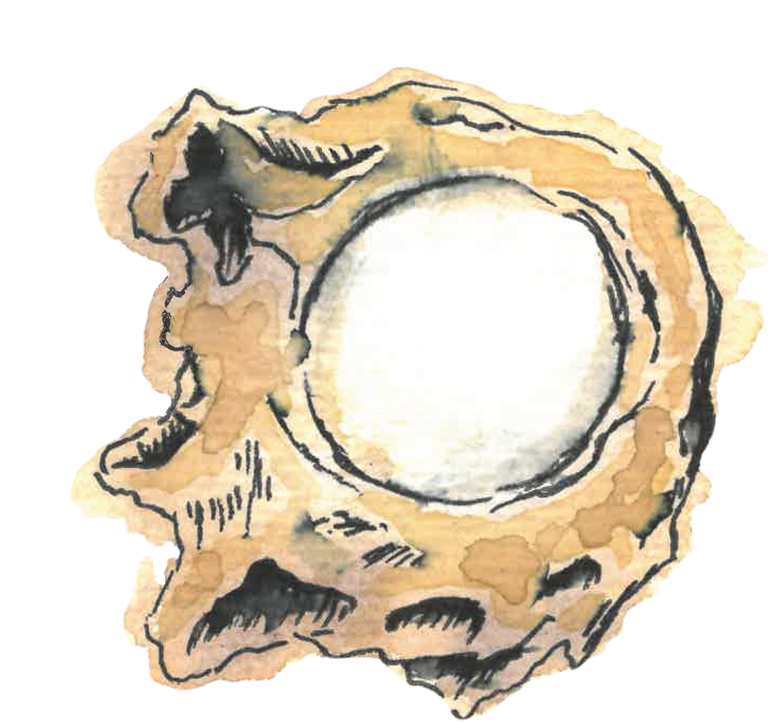 Sbc Ingredient Royaljelly Web - Sketch (900x900), Png Download