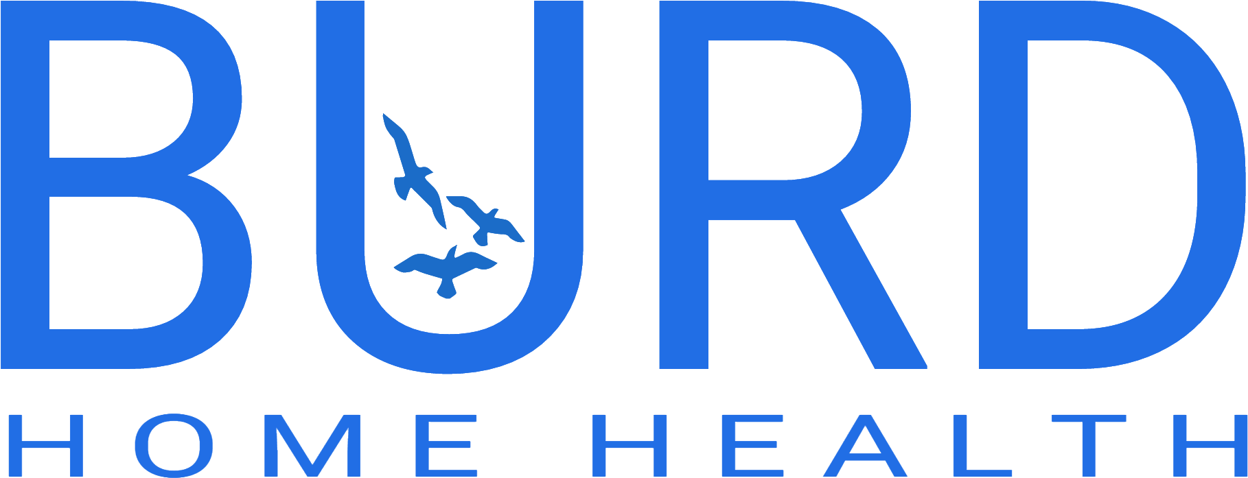 Burd Home Health, Llc - Graphic Design (1920x982), Png Download