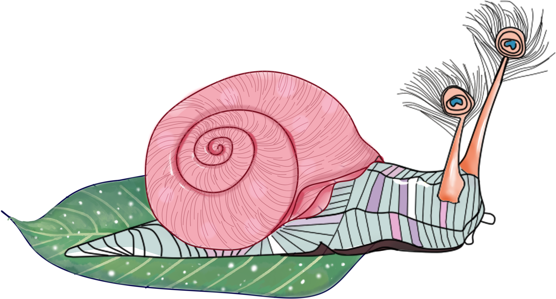 Snail Hand Drawn Animal Watercolor Png And Psd - Illustration (2000x2000), Png Download