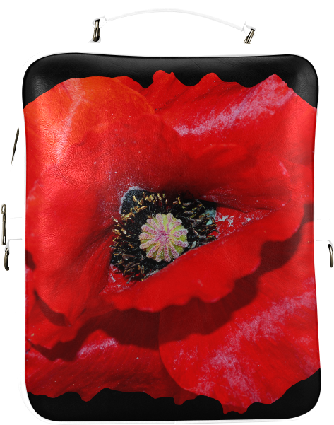 Coin Purse (800x800), Png Download