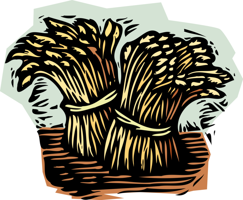 Download Vector Illustration Of Wheat Sheaves Sheaf Bundles