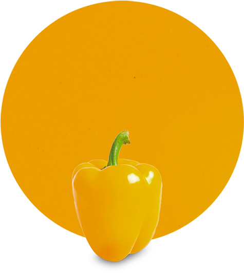 Yellow Pepper Puree - Yellow Pepper (536x595), Png Download