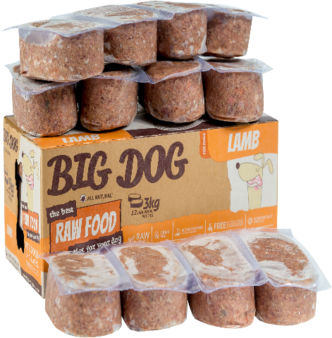 Big Dog Barf Lamb - Big Dog Pet Foods Logo (590x528), Png Download