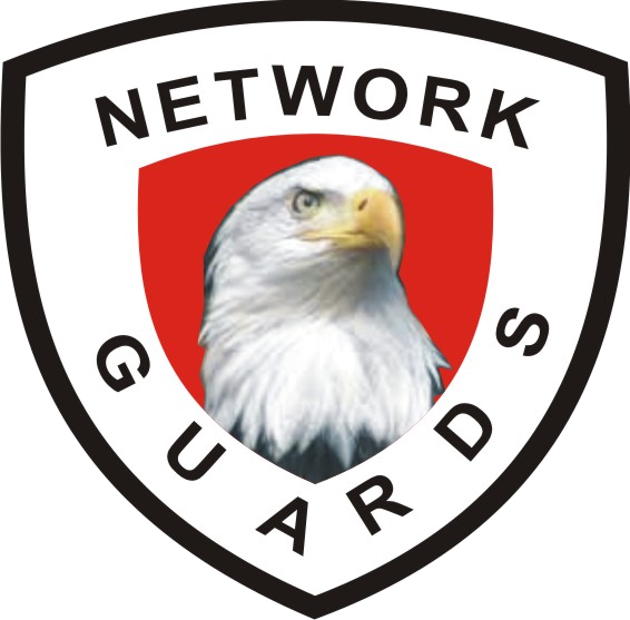 Network Guards Limited - Bald Eagle (566x557), Png Download