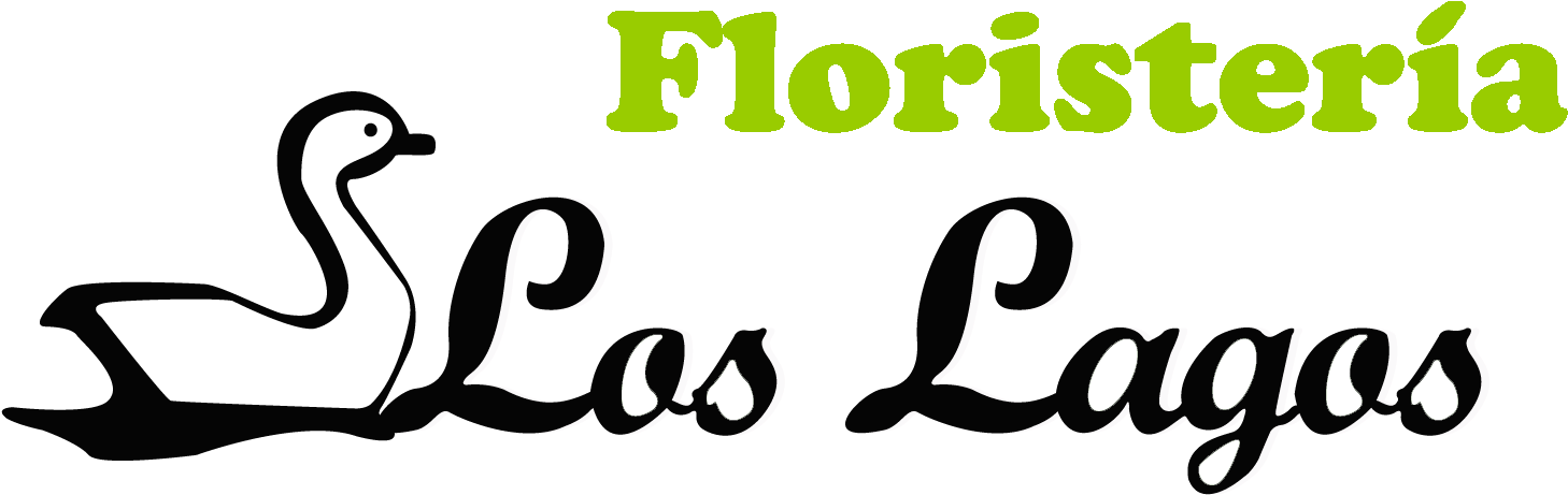 Floristería Los Lagos - Gandhimathi Appliances Ltd (1509x527), Png Download