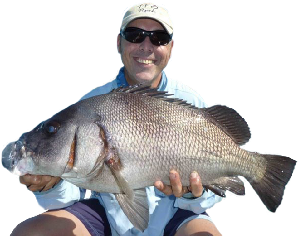 Andy Andysfishing - Pull Fish Out Of Water (1000x758), Png Download