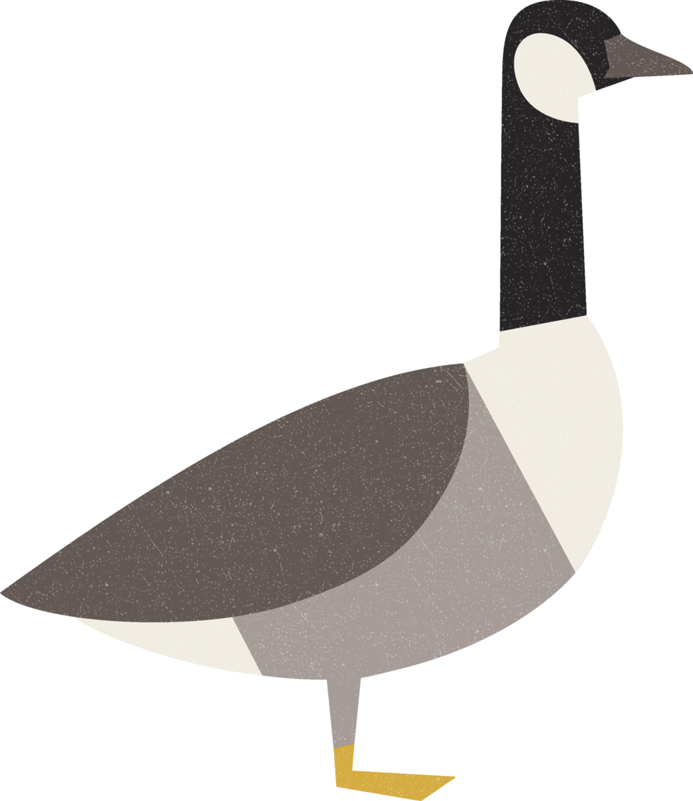 Image - Charley Harper Illustrator Goose (1000x1156), Png Download