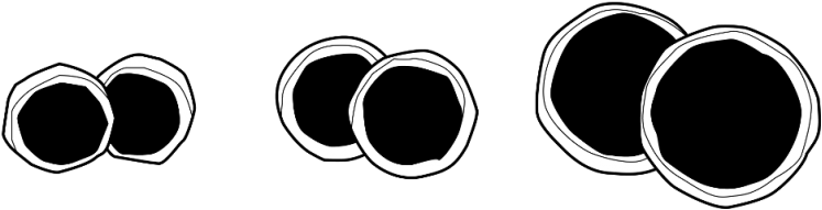 Button Earring - Circle (750x500), Png Download