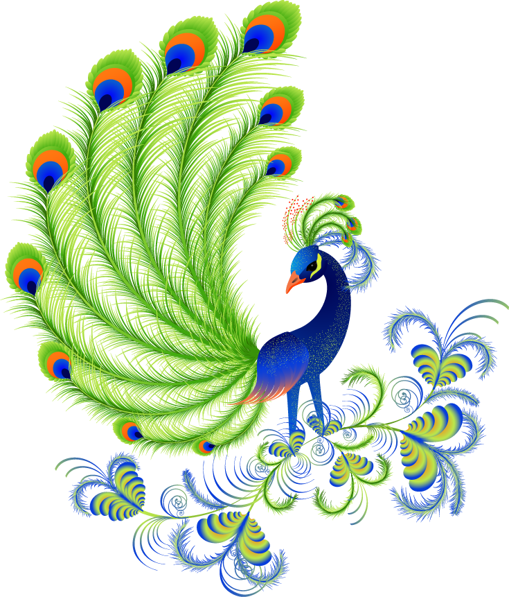 Cartoon Peacock Feathers - Peacock Beautiful Pictures Of Cartoon (735x861), Png Download