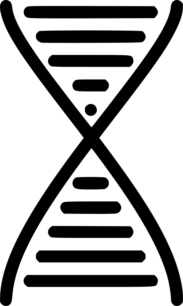 Png File Svg - Magnifying Glass Dna Vector (586x980), Png Download