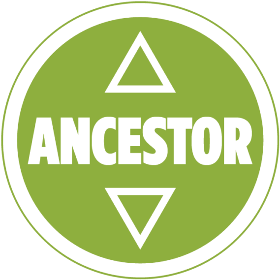 Use This Icon For Confirmed Genetic Ancestors - Men In Cities (700x700), Png Download