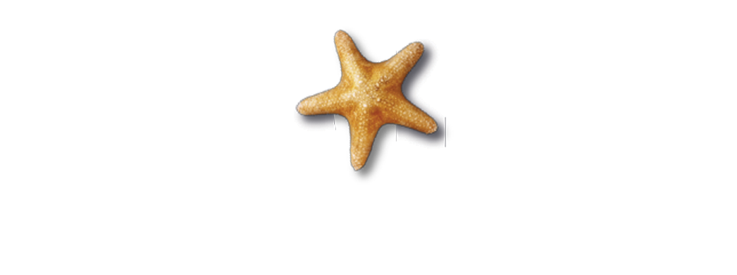 Response To Recent Social - Sea Life Centre (1085x418), Png Download