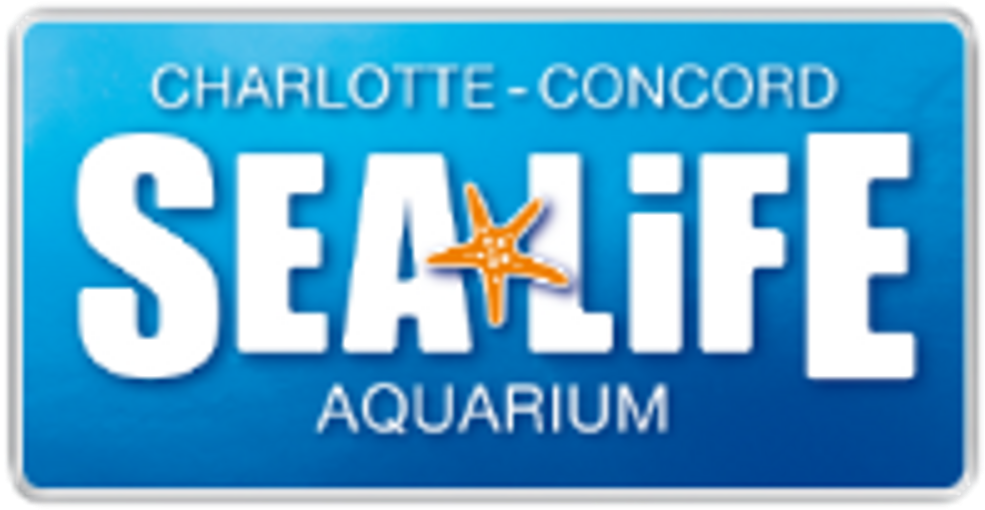 Green Sea Turtle Rescue 2016 At Sea Life [7 Images] - Sea Life Orlando Logo (1000x600), Png Download