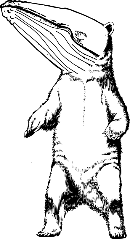 >he Thinks He's Going To Make It Kek - Dessins Ours (439x804), Png Download